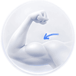 Biceps