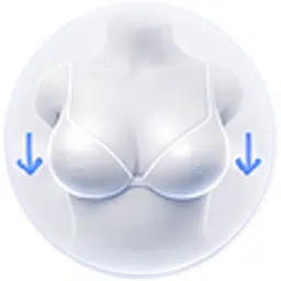 Breast